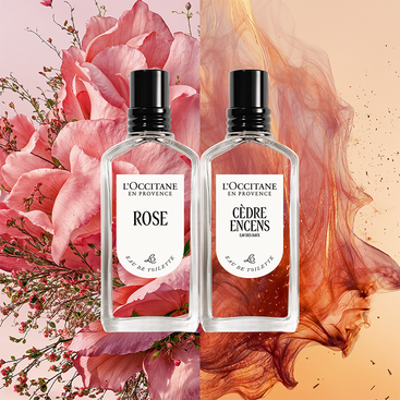 Rose Eau de Toilette | L'Occitane Australia